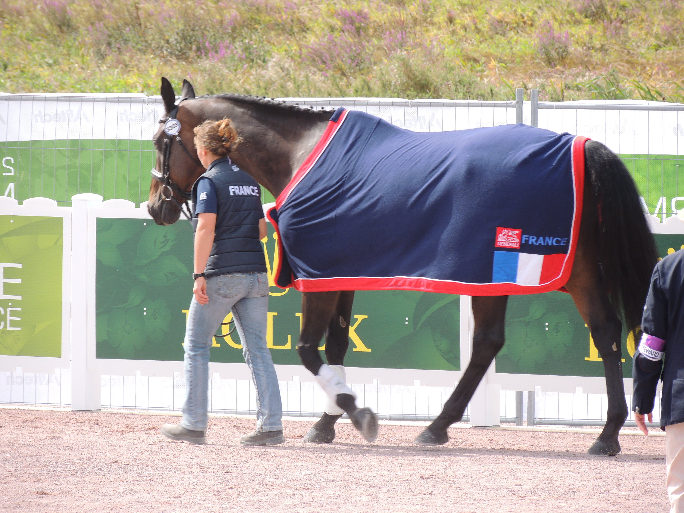 VladimirVinchon-Jeuxequestremondiaux-2014 (2)