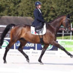 VladimirVinchon-Jeuxequestremondiaux-2014 (25)