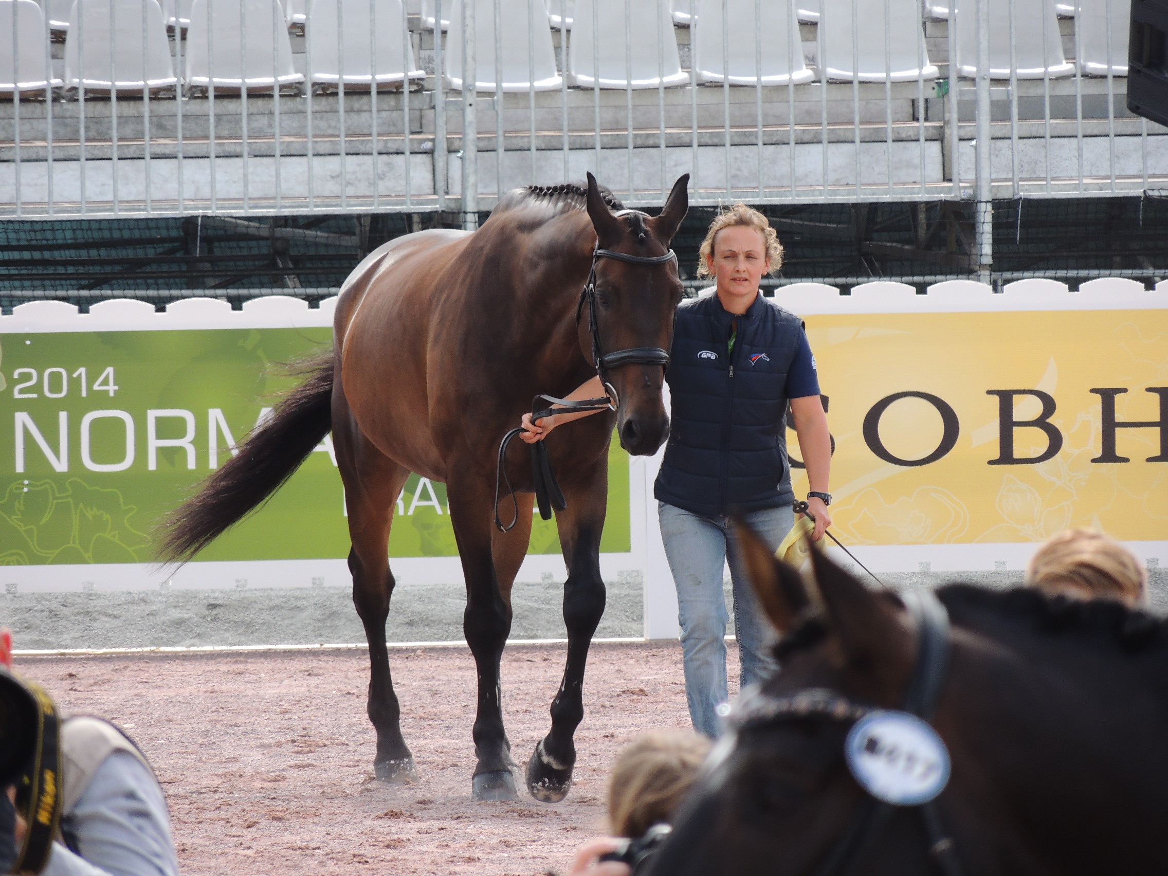 VladimirVinchon-Jeuxequestremondiaux-2014 (3)