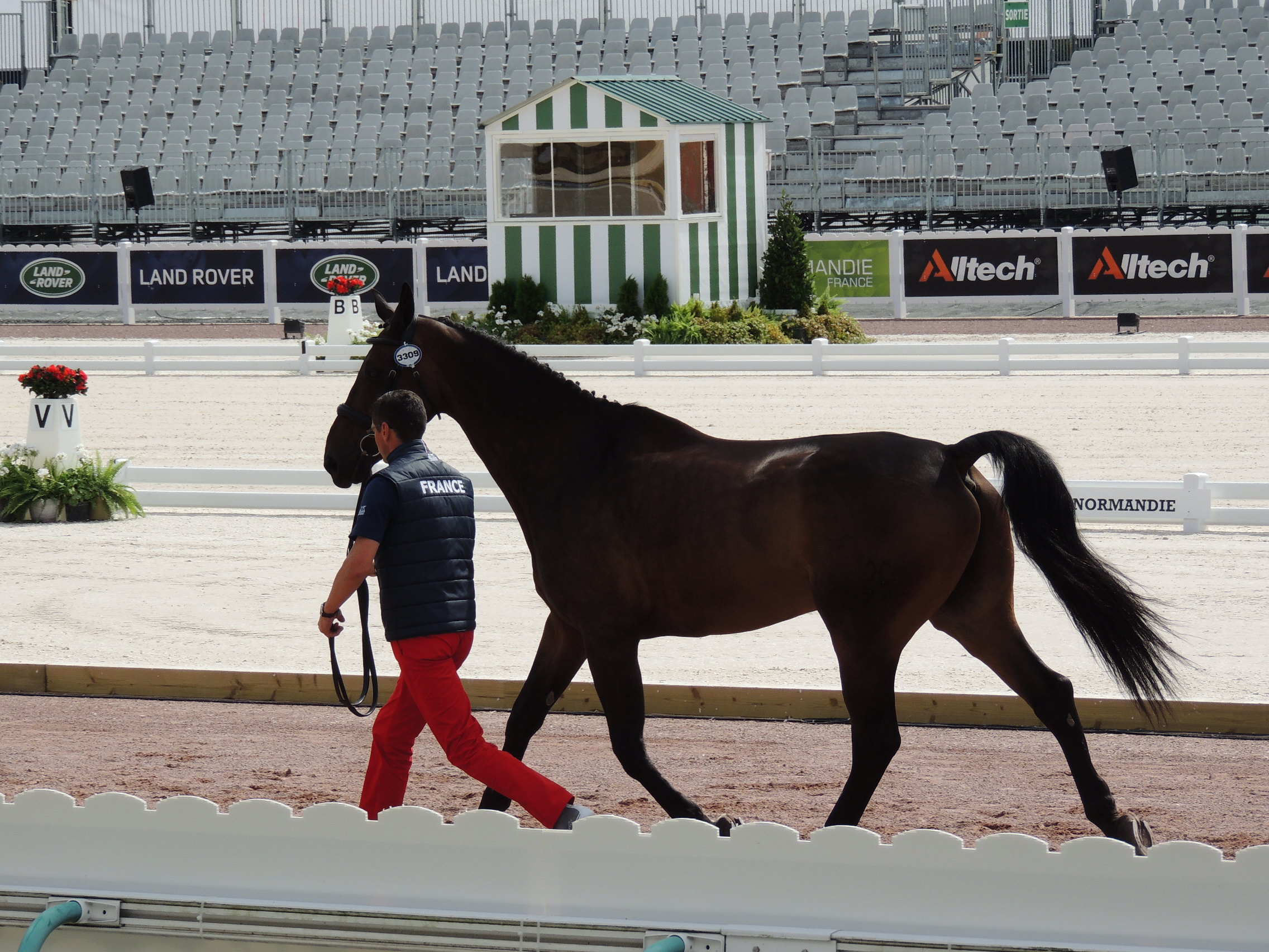 VladimirVinchon-Jeuxequestremondiaux-2014 (4)