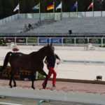 VladimirVinchon-Jeuxequestremondiaux-2014 (5)